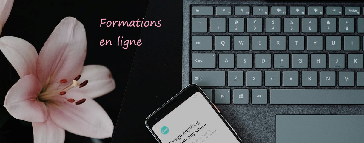 Formation en ligne